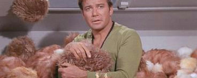 Tribbles © 1967 Paramount Pictures